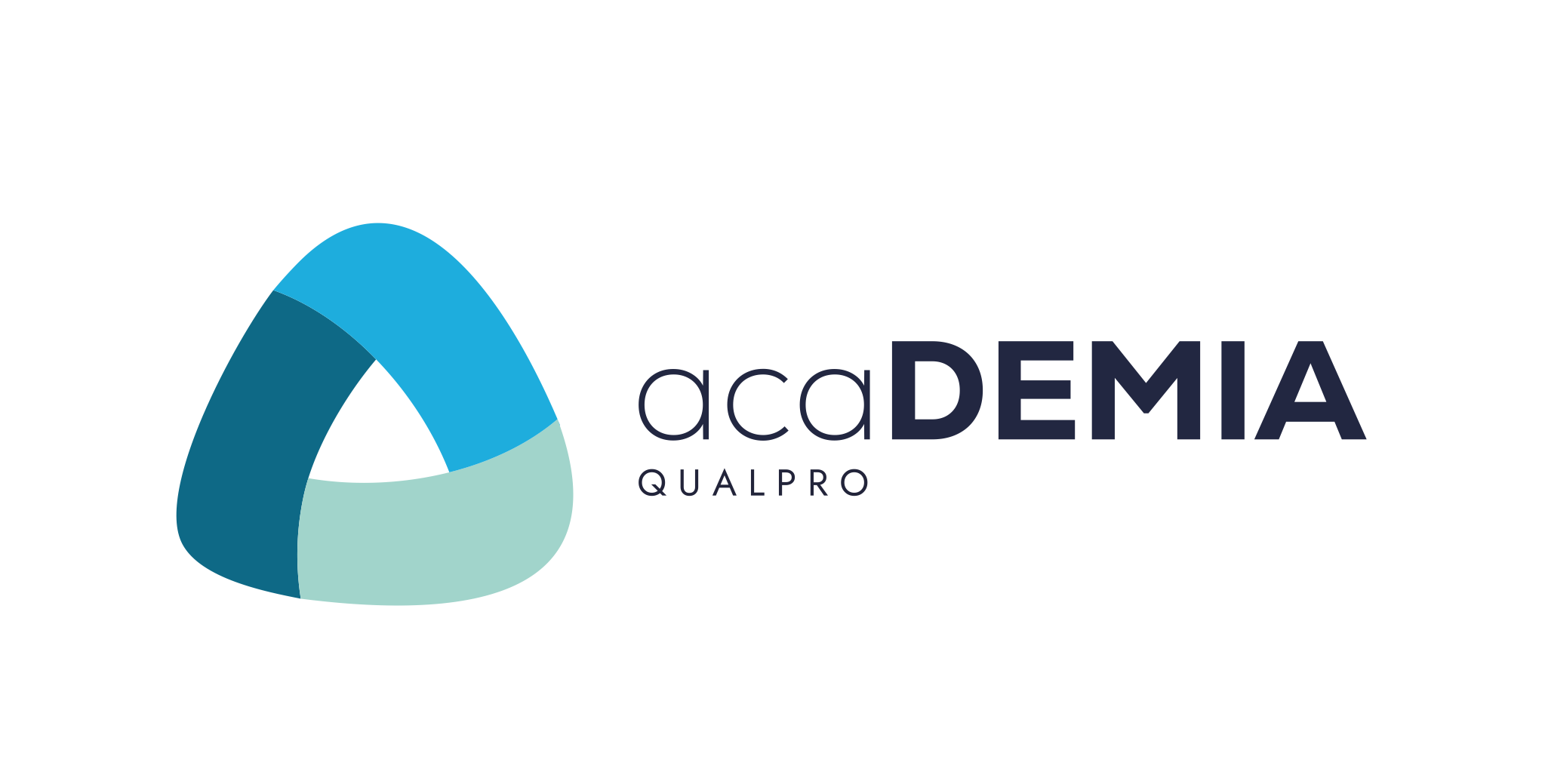 Akademia Qualpro - duże logo